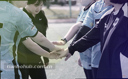 观察取舍 不同场景各有优劣